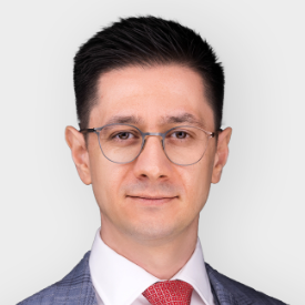 Andrei Soltan delay expert